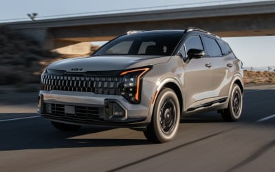 소렌토 가볍게 제쳤다…순식간에 '국가대표 SUV' 등극한 車