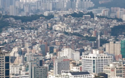 주택 부족한데…'재초환'에 발목잡힌 조합들